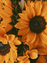 Load image into Gallery viewer, Sunflower Bracelet
